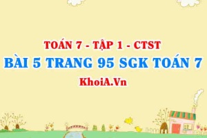 Bài 5 trang 95 SGK Toán 7 tập 1 Chân trời sáng tạo